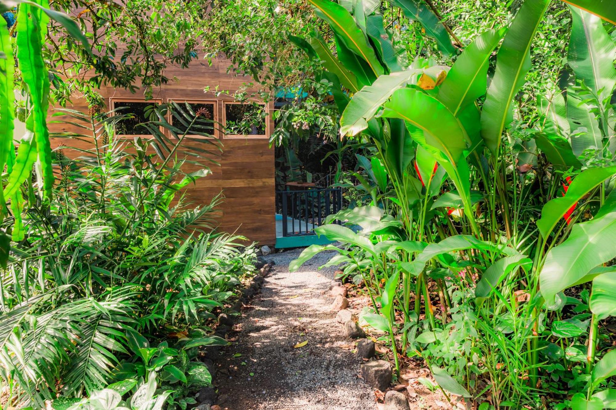 Arenal Getaway Daire La Fortuna Dış mekan fotoğraf